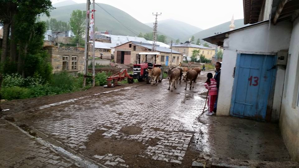 Ozansu Köyü (Tahsini)