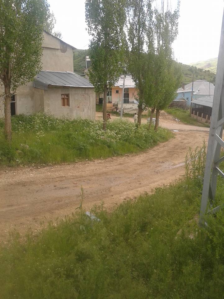 Petekkaya Köyü (Munut)