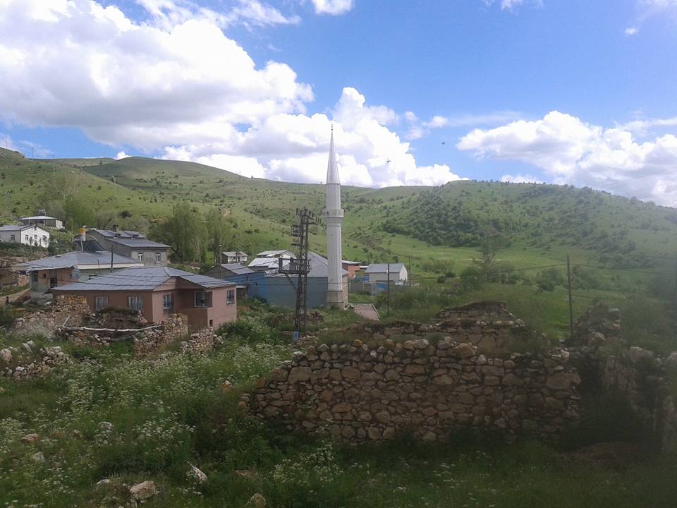 Petekkaya Köyü (Munut)