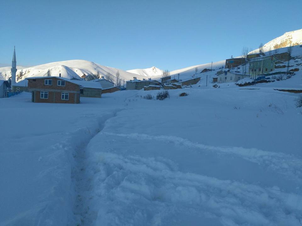 Petekkaya Köyü (Munut)