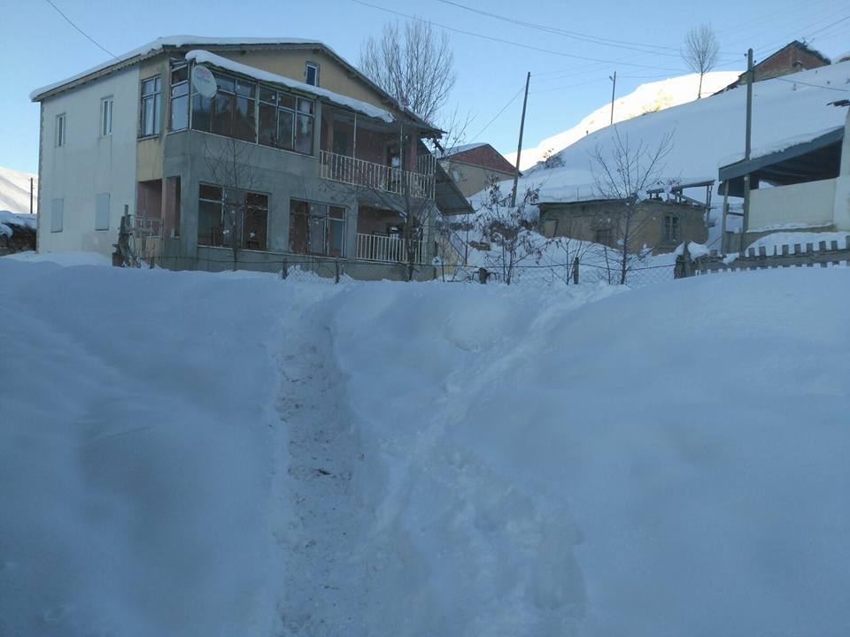 Petekkaya Köyü (Munut)