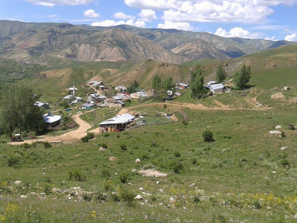 Petekkaya Köyü (Munut)