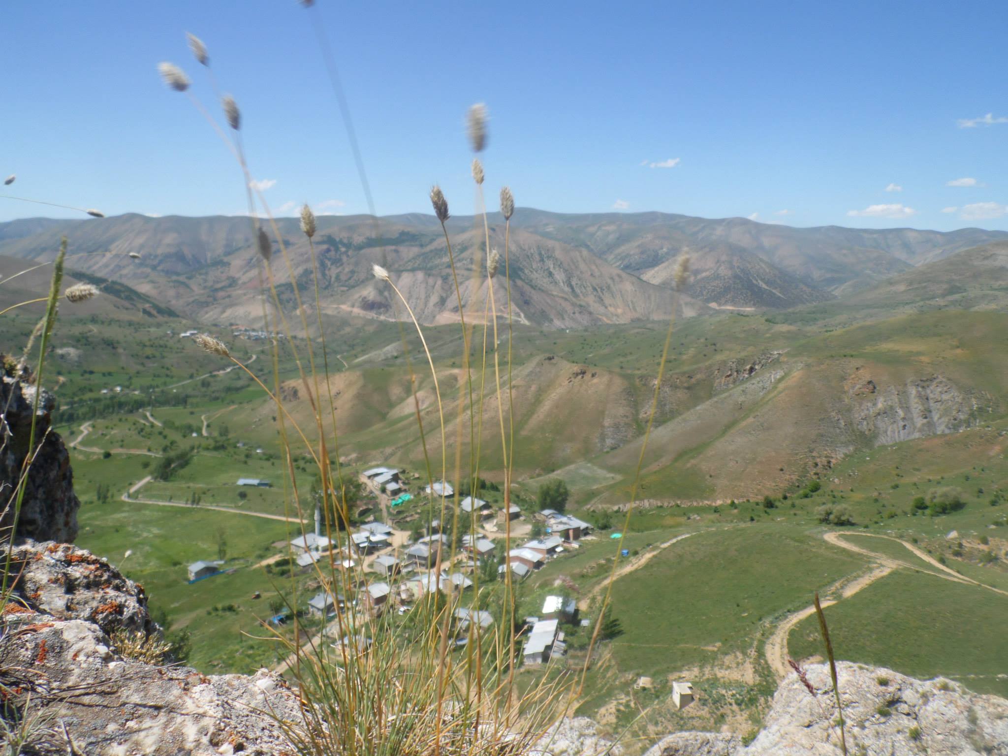 Petekkaya Köyü (Munut)