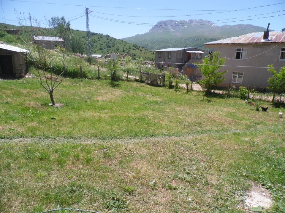 Petekkaya Köyü (Munut)