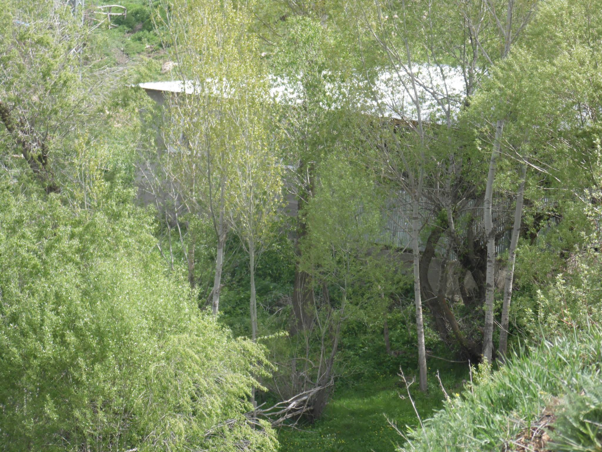 Petekkaya Köyü (Munut)