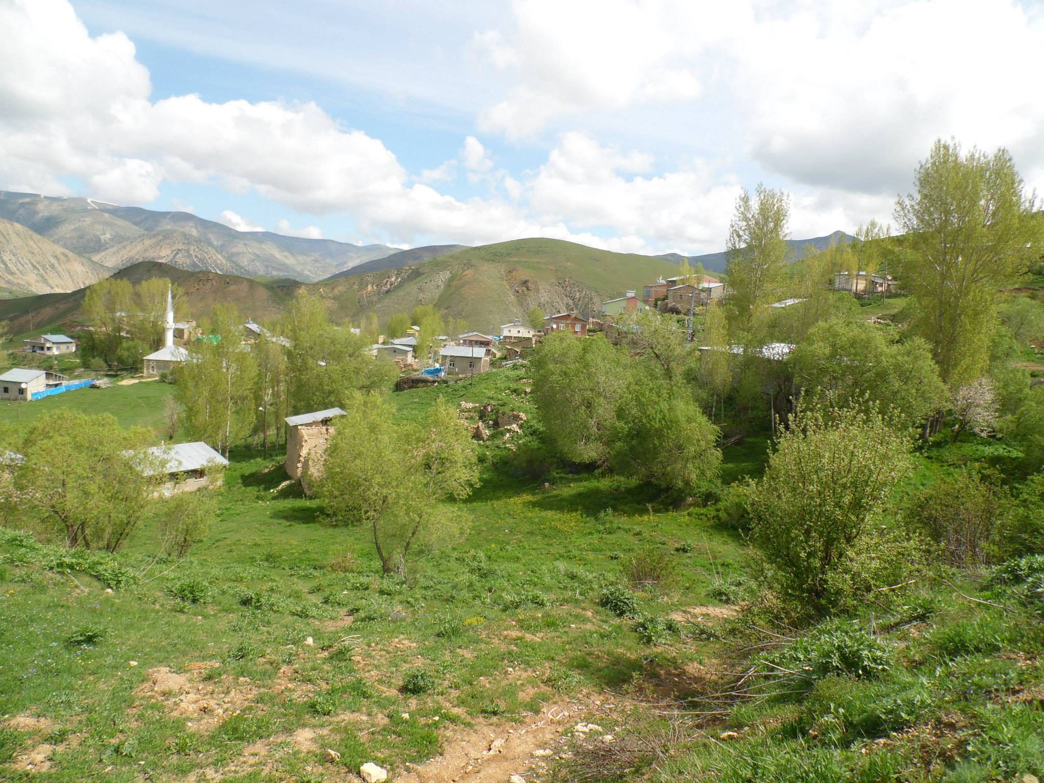 Petekkaya Köyü (Munut)