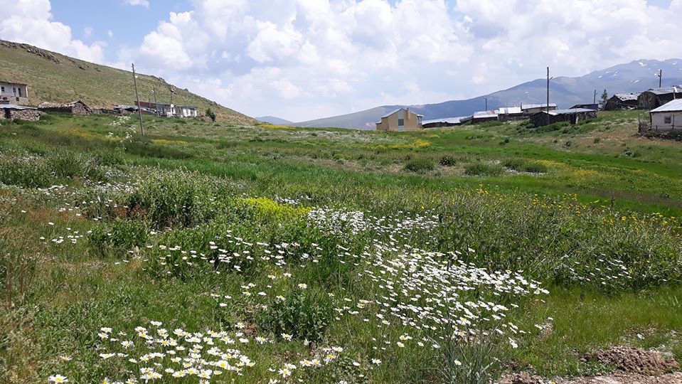 Sırataşlar Köyü (Aşağı Çençül)