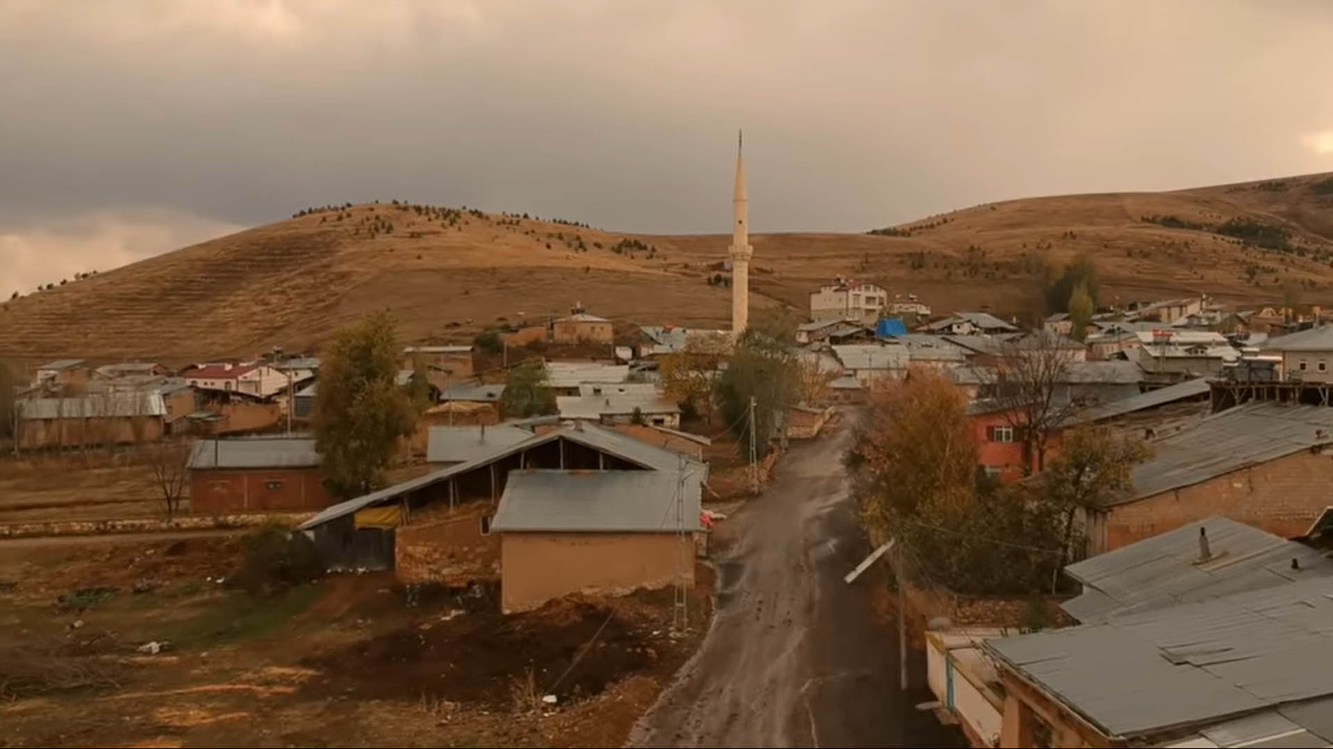 Söğütlü Köyü (Hindi)
