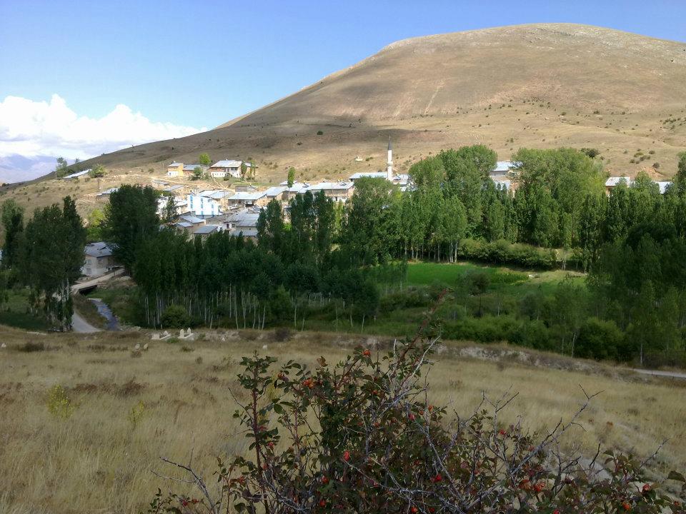 Tepetarla Köyü (Garaver)