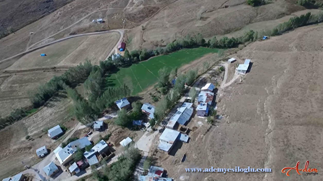 Yanoba Köyü (Aşuri)
