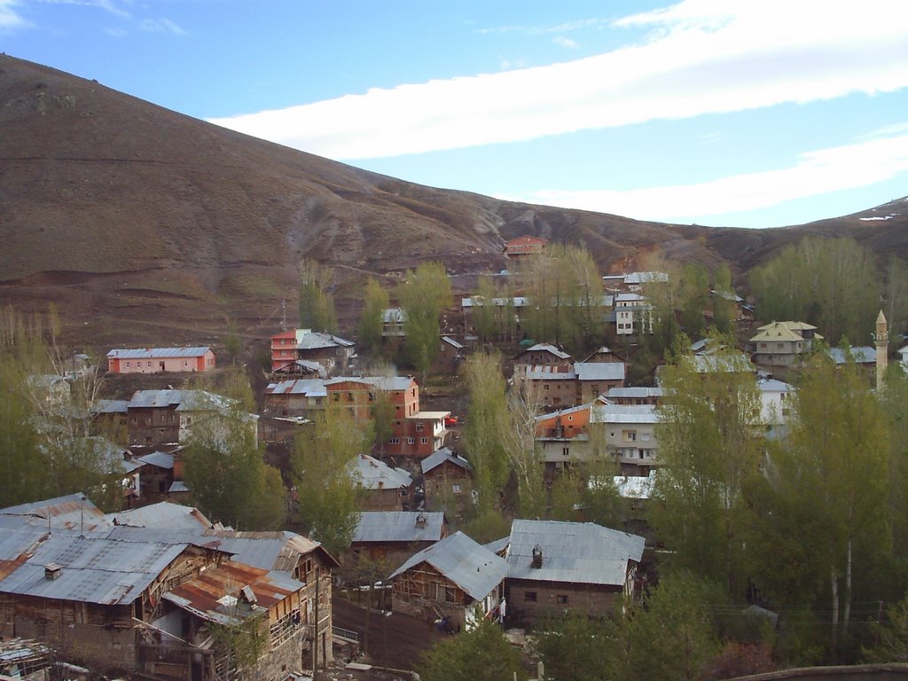 Yazyurdu Köyü (Çakmas)