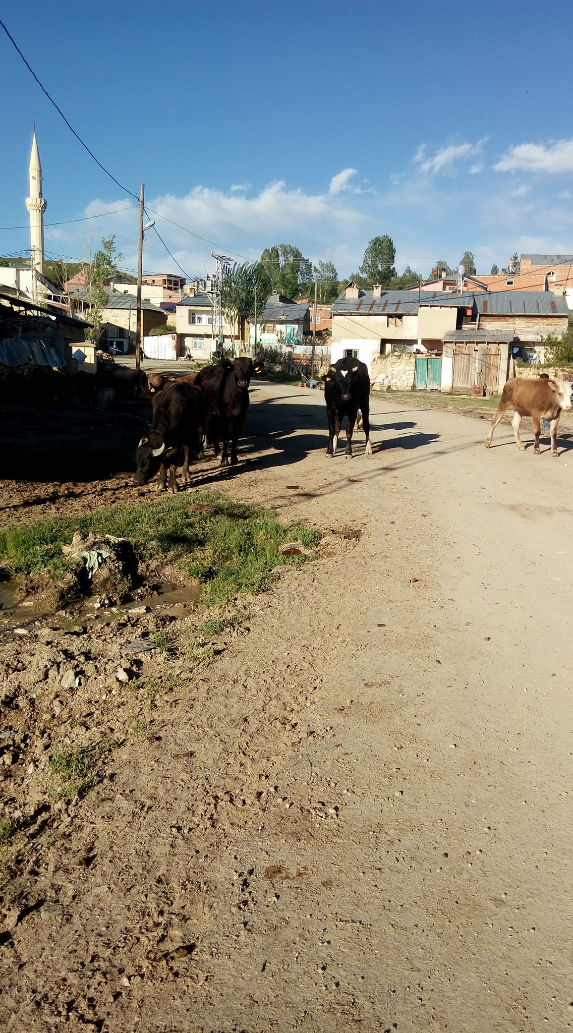 Yolaltı Köyü (Zahzık)