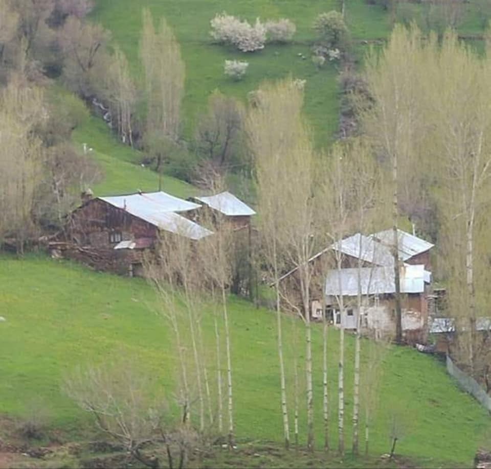 Yoncalı Köyü (Orsor)