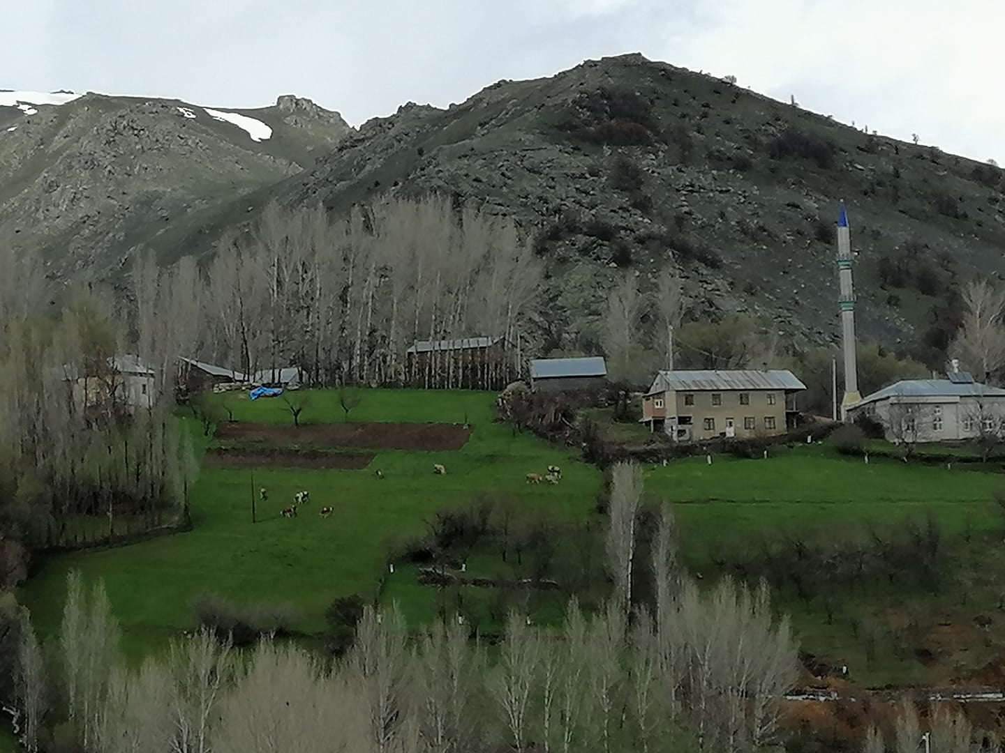 Yoncalı Köyü (Orsor)