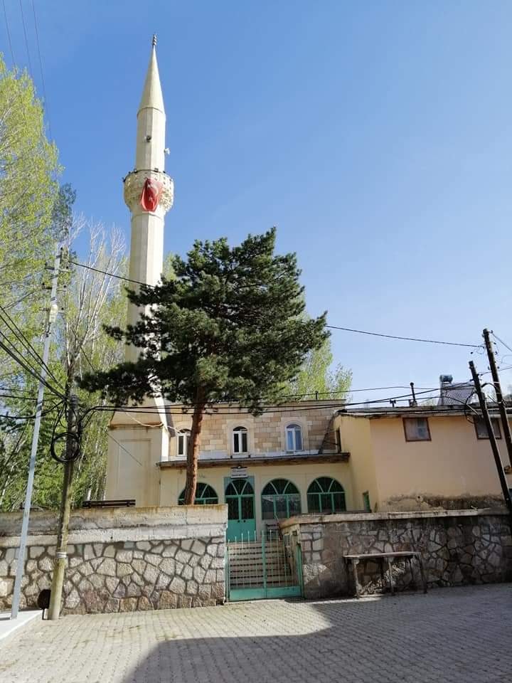 Ballıkaya Köyü (Pigeyi)