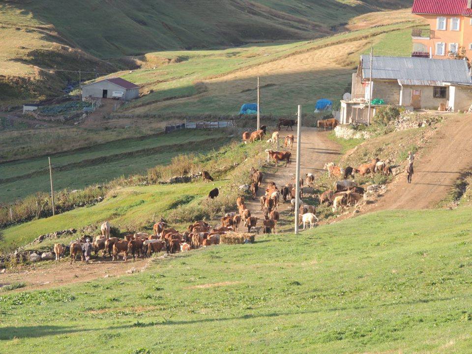 Günbuldu Köyü (Files)