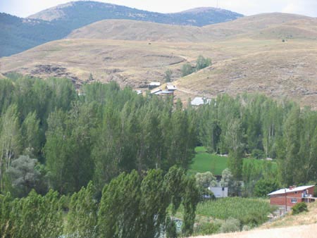 Çamlıköz Köyü (Ahbunus)