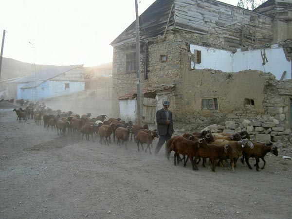 Çerci Köyü (Çerçi)
