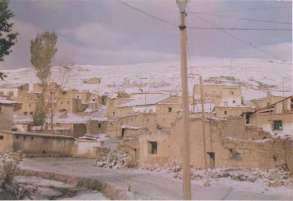 Çerci Köyü (Çerçi)