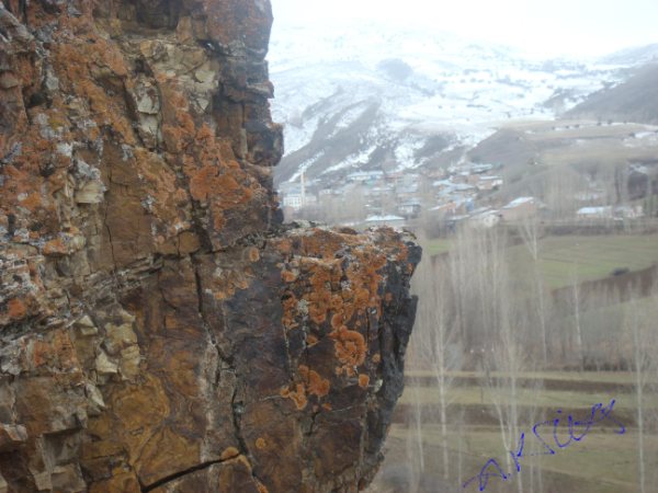Yeşilyurt Köyü (Manastır)