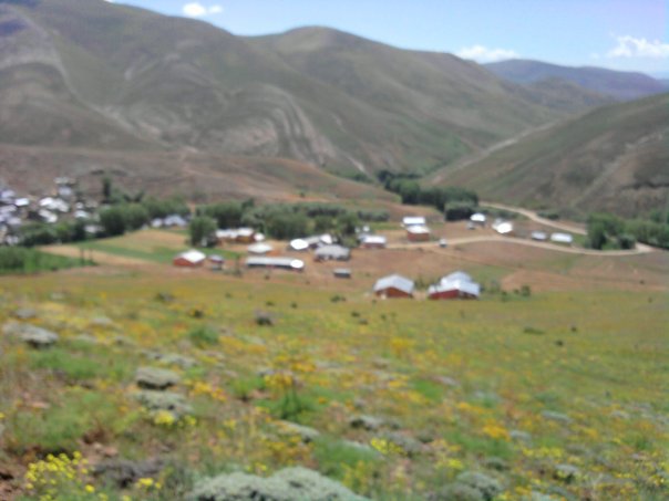 Gökler Köyü (Gökler)
