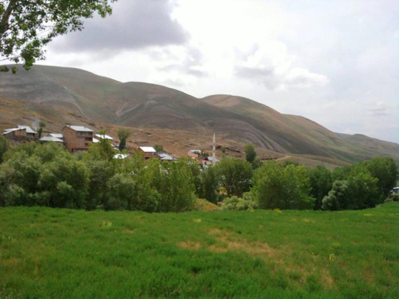 Gökler Köyü (Gökler)