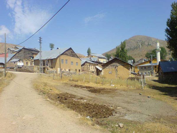 Pamuktaş Köyü (Ermene)