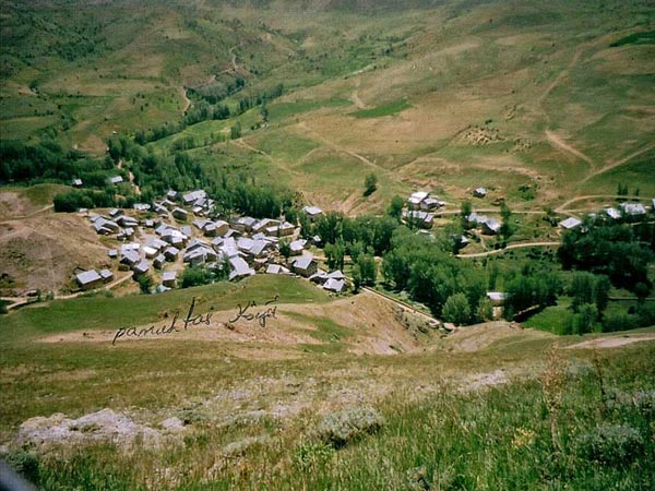 Pamuktaş Köyü (Ermene)