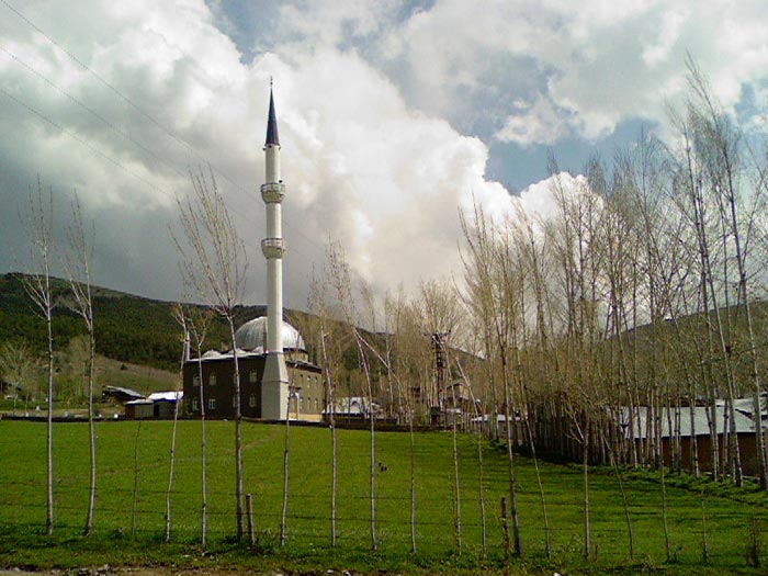 Petekli Köyü (Çorozma)