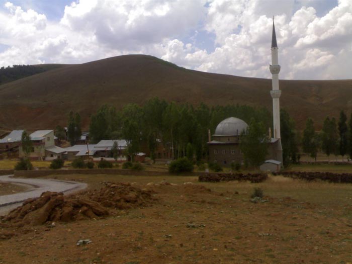 Petekli Köyü (Çorozma)