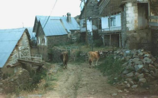Sorkunlu Köyü (Torontos)