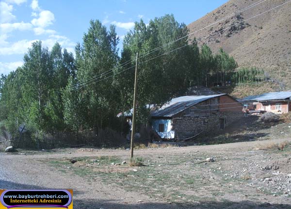 Kop Köyü (Kop)