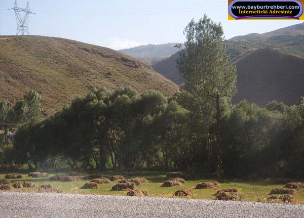 Kop Köyü (Kop)