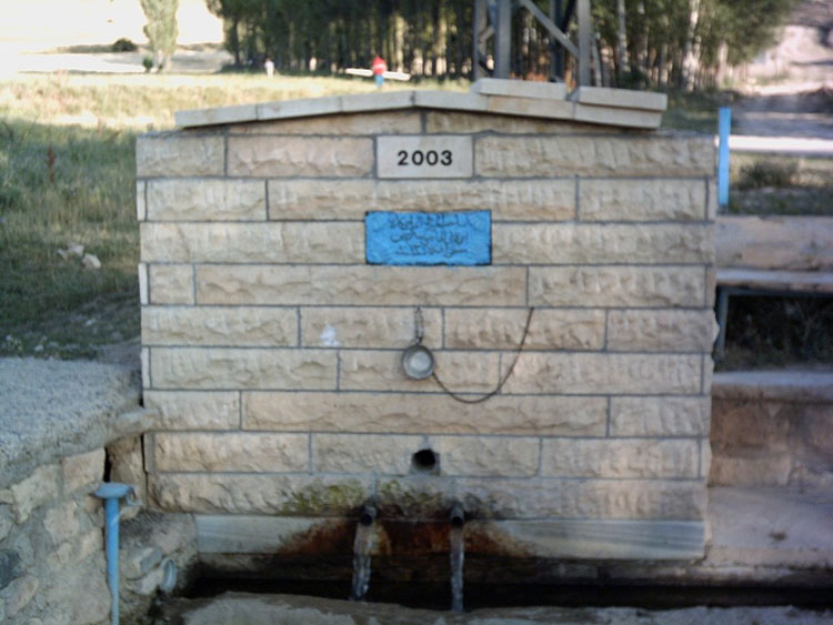 Alıçlık Köyü (Kestesi)