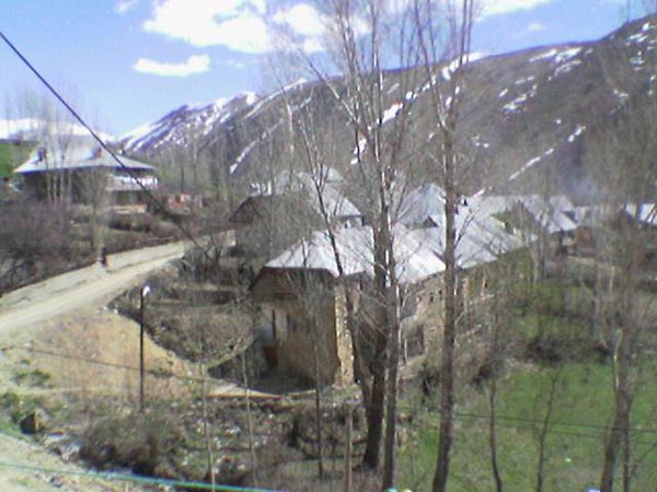 Armutlu Köyü (Armutlu)