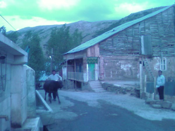 Armutlu Köyü (Armutlu)