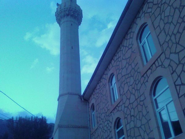 Armutlu Köyü (Armutlu)