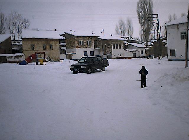 Arpalı Köyü (Niv)