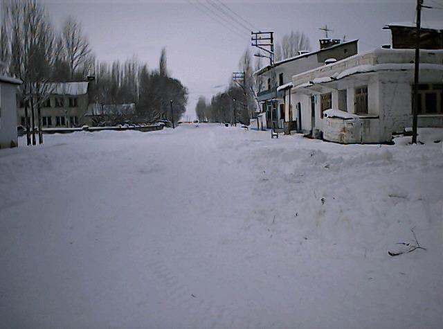 Arpalı Köyü (Niv)