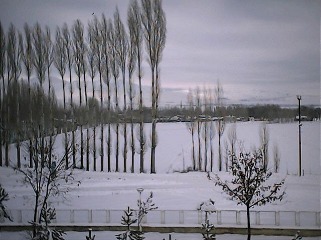 Arpalı Köyü (Niv)