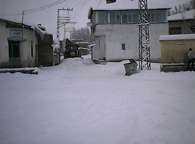 Arpalı Köyü (Niv)