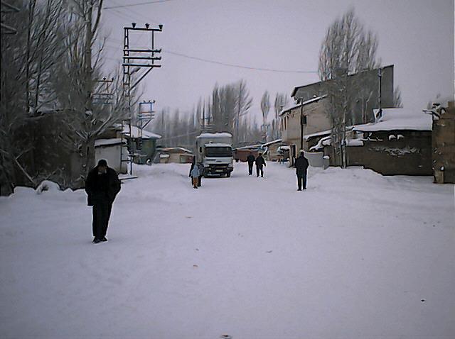 Arpalı Köyü (Niv)