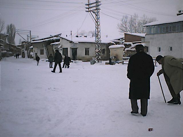 Arpalı Köyü (Niv)