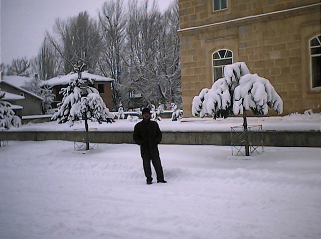 Arpalı Köyü (Niv)