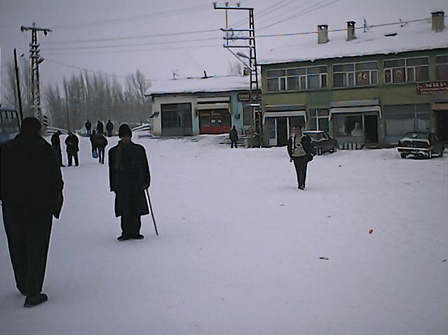 Arpalı Köyü (Niv)