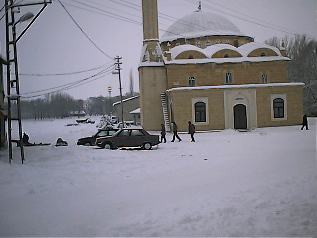 Arpalı Köyü (Niv)