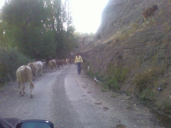 Aslandede Köyü (Kan)