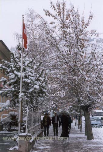 Bayburt 2005