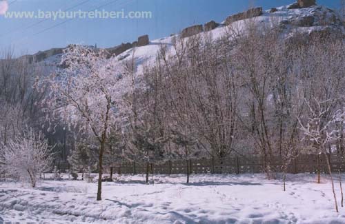 Bayburt 2005