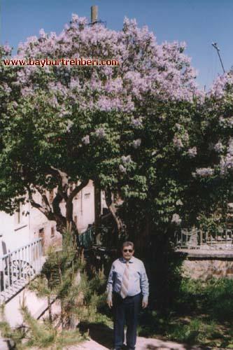 Bayburt 2005